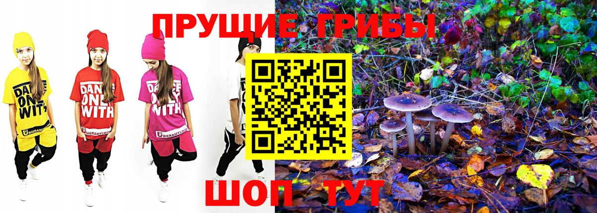 Балабаново  Галлюциногенные грибы GOLDEN TEACHER  Вход с VPN 